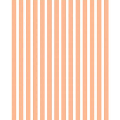 IMAGE_T