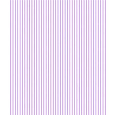 IMAGE_T