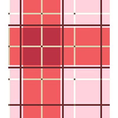 IMAGE_T