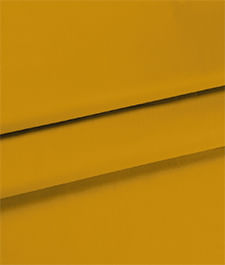 IMAGE_T