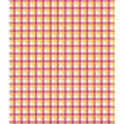 IMAGE_T