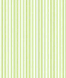 IMAGE_T