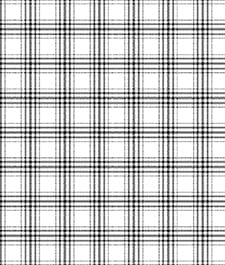IMAGE_T