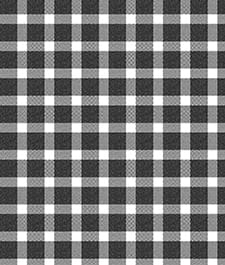 IMAGE_T