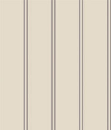 IMAGE_T
