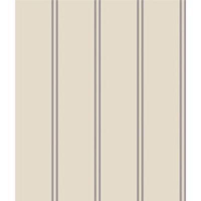 IMAGE_T