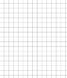 IMAGE_T