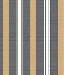 IMAGE_T