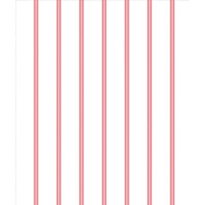 IMAGE_T