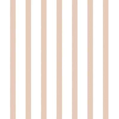 IMAGE_T