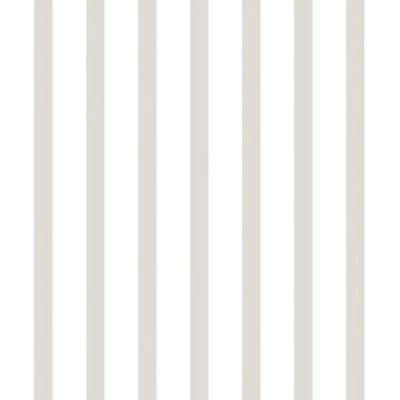IMAGE_T