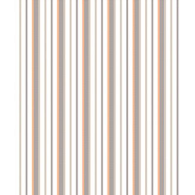 IMAGE_T