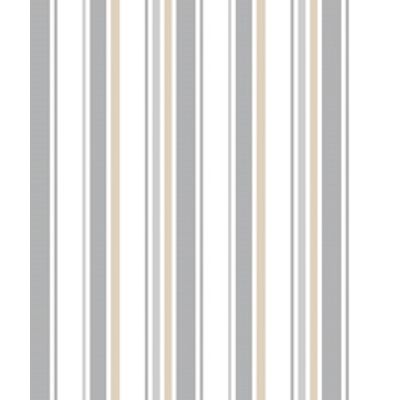 IMAGE_T