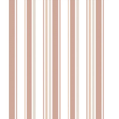IMAGE_T