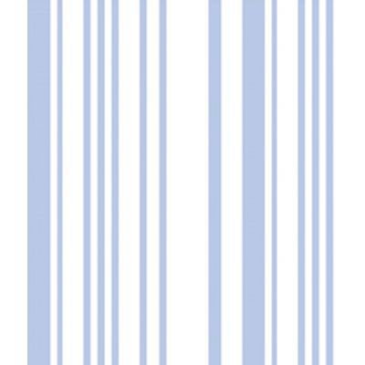 IMAGE_T