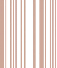 IMAGE_T
