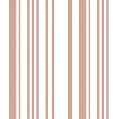 IMAGE_T