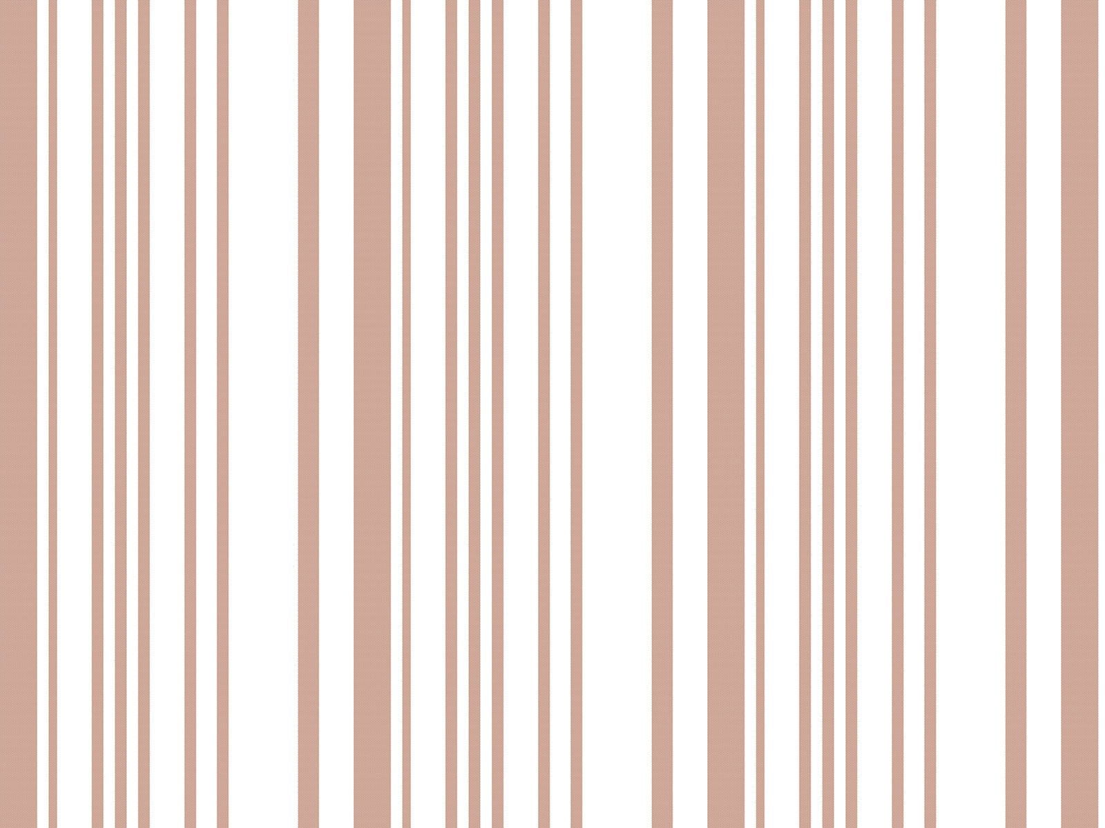 IMAGE_L
