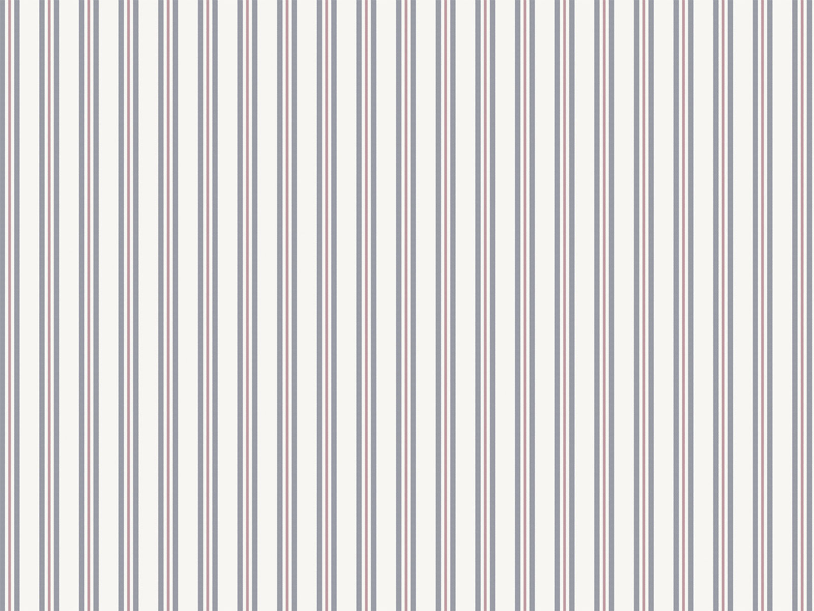 IMAGE_L