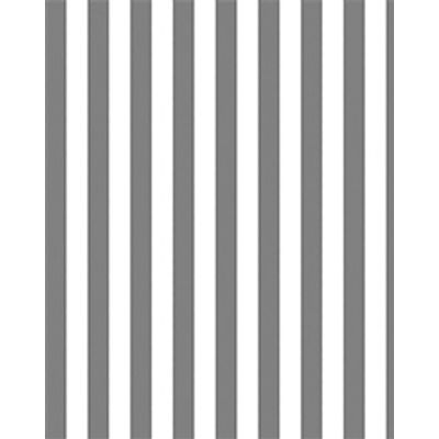 IMAGE_T
