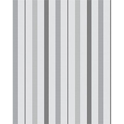 IMAGE_T