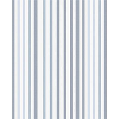 IMAGE_T
