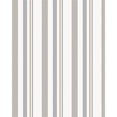 IMAGE_T
