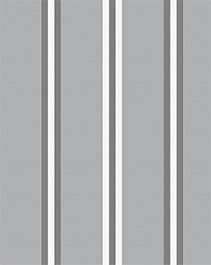 IMAGE_T
