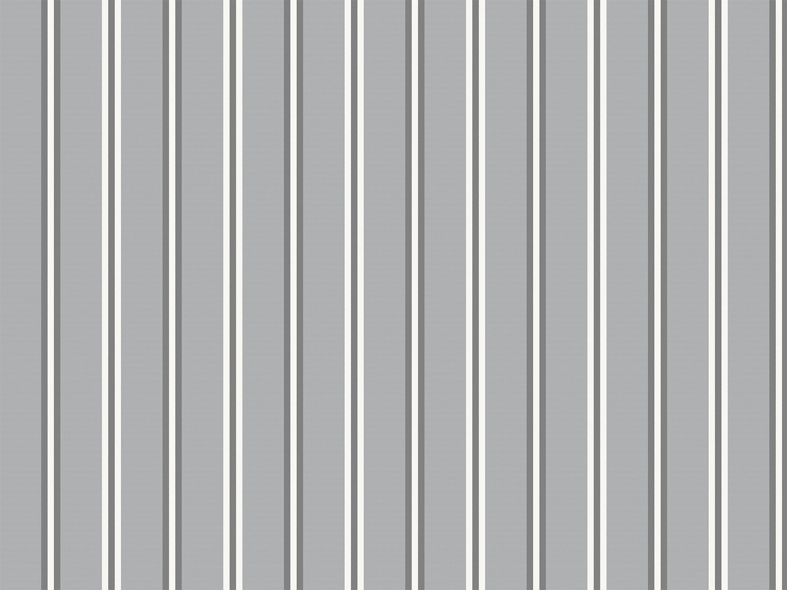 IMAGE_L