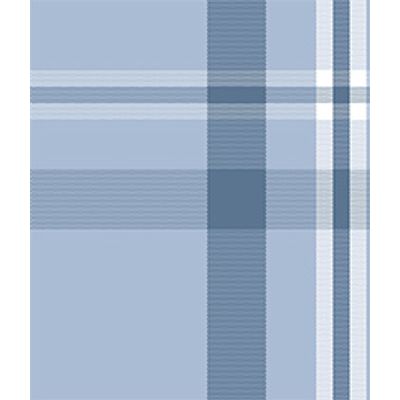 IMAGE_T