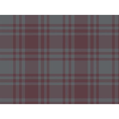 IMAGE_L