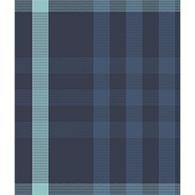 IMAGE_T