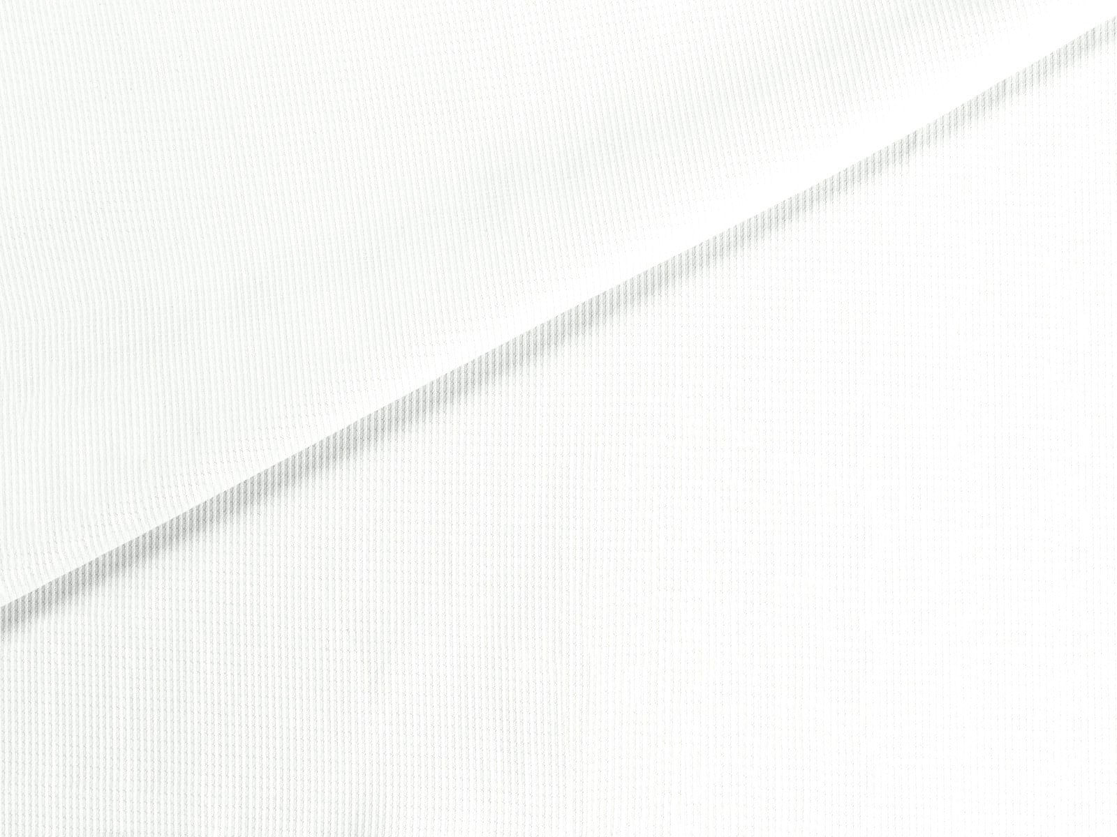 IMAGE_L