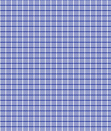 IMAGE_T