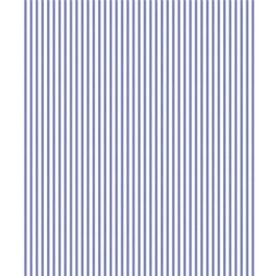 IMAGE_T