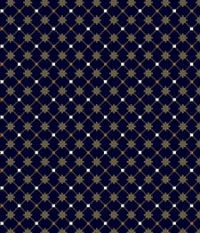 IMAGE_T