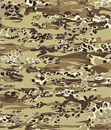 IMAGE_T