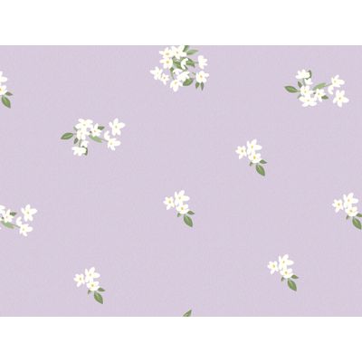 IMAGE_L
