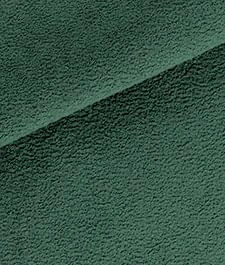 IMAGE_T