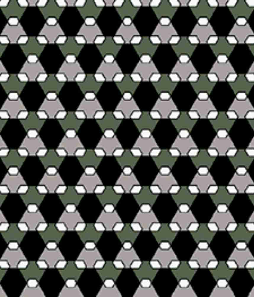 IMAGE_T