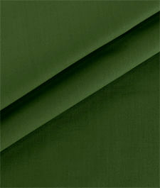 IMAGE_T