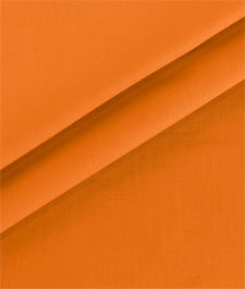 IMAGE_T