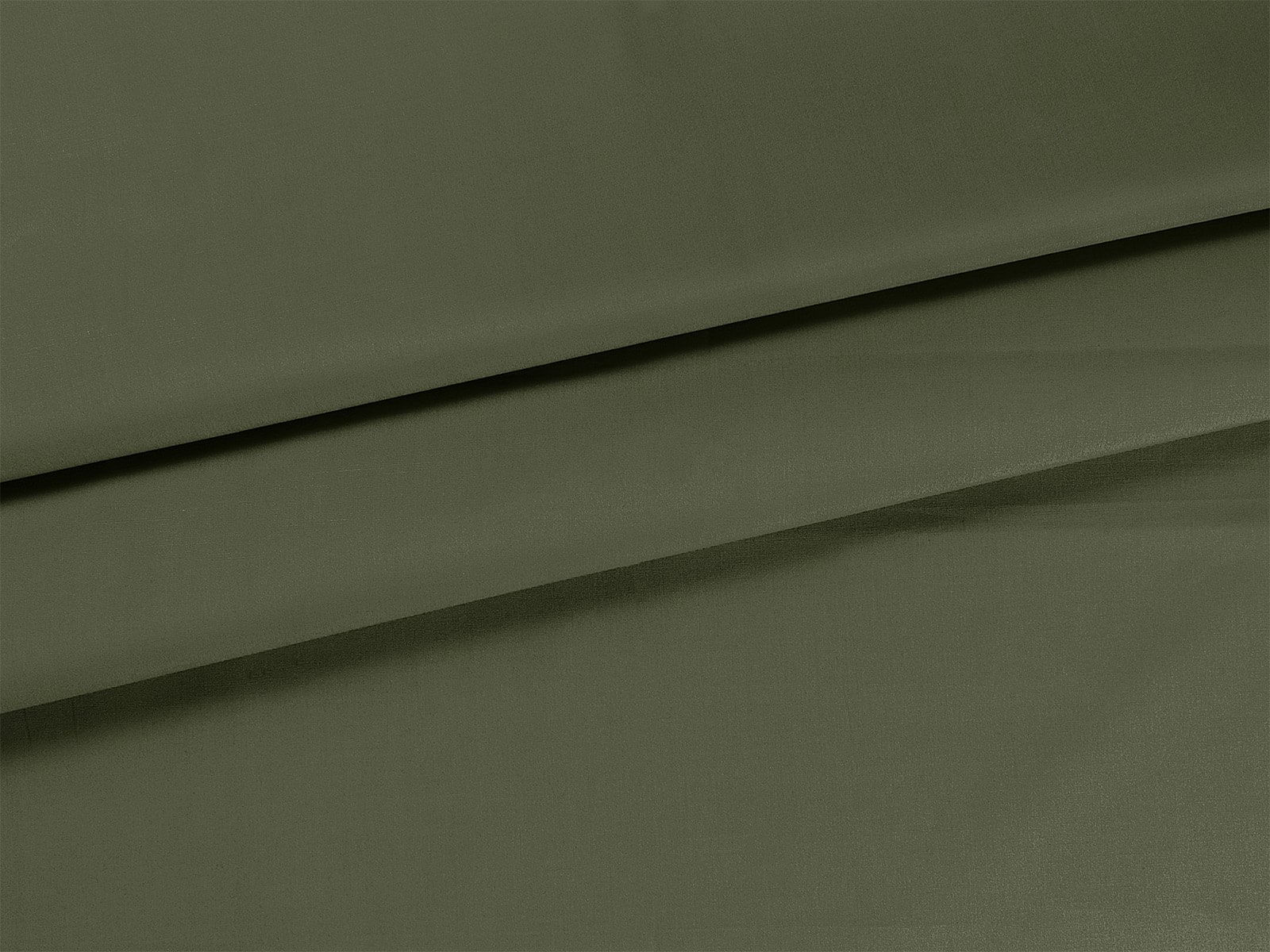 IMAGE_L