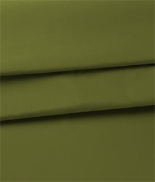 IMAGE_T