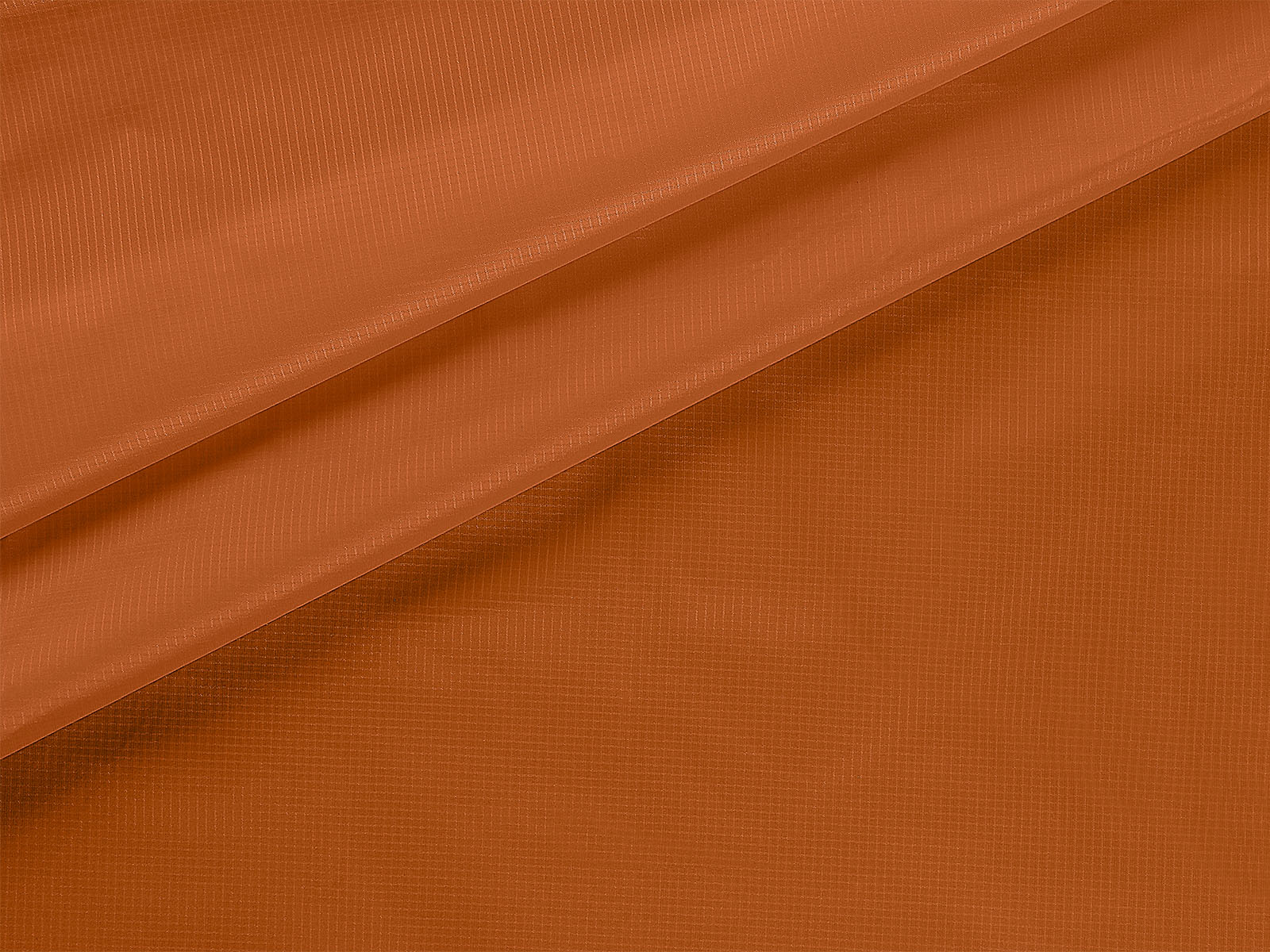IMAGE_L