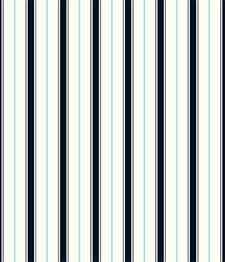 IMAGE_T