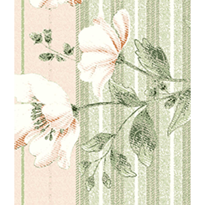 IMAGE_T