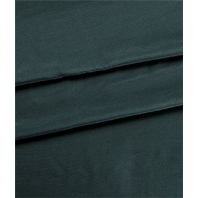 IMAGE_T