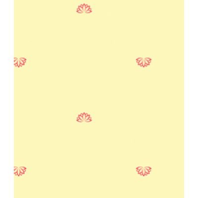 IMAGE_T