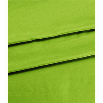 IMAGE_T